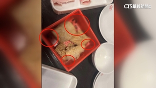 吃火鍋叫豆皮附10隻小強　客轟噁心　業者道歉.停業2天