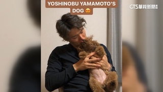 MLB官網預測山本由伸登新人王　愛犬「蜜柑」搶鋒頭