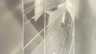 疑追車競速？　轎車自撞翻1死3傷　路過車竟無伸援