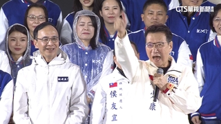 戰鬥藍崛起？藍青年.張亞中逼宮　侯.蔣護航朱立倫