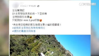 高空實錄！疑撞鳥類繁殖期　空拍機遭大冠鷲突襲