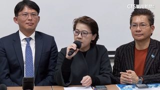 蔡正元指「綠白合」可分職務　黃珊珊駁：無預設立場