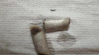 好市多「排骨刀片」成謎團？　食藥署：廠商切割刀具完整