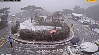 陽明山、太平山下雪了！ 管制點須加掛雪鏈