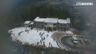 寒流發威！太平山凌晨降雪　銀白世界萌娃也追雪
