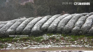 三峽隔8年再降冰霰　85歲嬤追雪.小童挖融冰