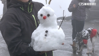 全家衝拉拉山車露追雪　烏來967高地鋪「白色地毯」