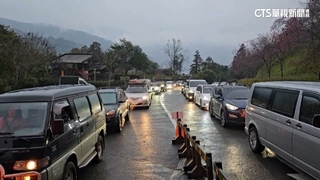 高山飄雪追雪熱血　民眾抱兩月大嫩嬰衝賞雪