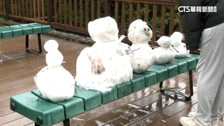 雪在融！　民眾愛車裝雪鏈趕追雪　「賭一把賞雪景」