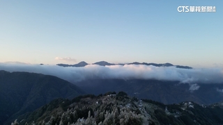 絕美冬景！霧淞冰晶.漫山霧氣繚繞　民眾讚嘆