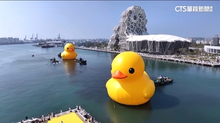萌度破表！　「黃色小鴨」成雙返港都　最佳觀賞點攻略