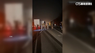 馬戲團拖板車印州公路起火　駱駝獲救路邊閒逛