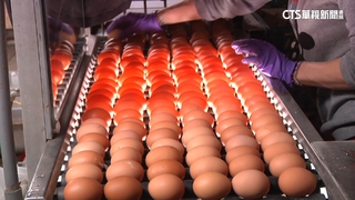 蛋價今起漲2元　蛋商公會：天冷產量銳減.市場需求增