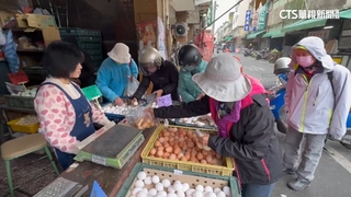 需求增又遇寒流減產　雞蛋批發價調漲每斤52元