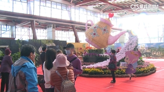 龍年走春玩彰化　溪州公園賞花再抽小提燈