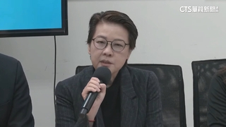 掀牌！　立院龍頭「白營參戰」　自推黃珊珊選院長