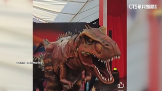 「龍」噱頭！　樂園搶春節商機　拚優惠吸引人流