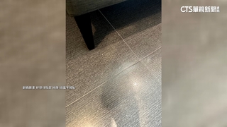親子飯店驚見滿地指甲屑.使用過尿布　業者致歉