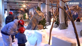迎龍年掀「恐龍」熱潮　互動式展覽.馬戲團吸客