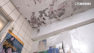 被控房客洗澡害漏水「一拖再拖」　房東：共同處理