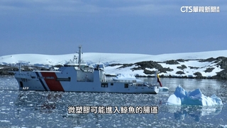 南極與人類活動隔絕　降雪竟出現「塑膠微粒」