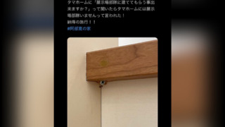 日網友PO樣品屋「未鎖好螺絲」　業者從「問卷」找住址 登門要求刪文