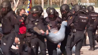 西班牙農民曳引車阻路　靜坐阻外國糧食入境