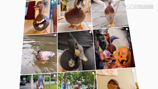 我家「孩子」不一樣！　動物變寵物　特殊寵兒超萌