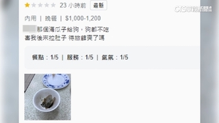 「海瓜子全是沙」害吃壞肚　旗津海產業者致歉退錢