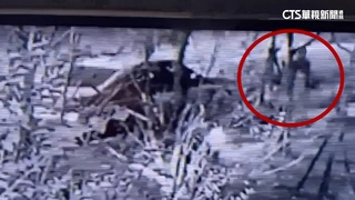 台南公園驚見女嬰遺體　警逮母及同居男友送辦