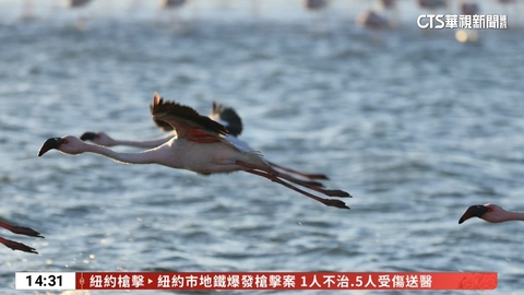 翻轉世界的盡頭 探索野性大地.與環境共好