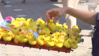 黃色小鴨商機旺！　網曝周邊玩具「除夕100初一漲到150」