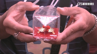 連5聖筊送金龜！　台中龍井天公廟9天狂送300隻