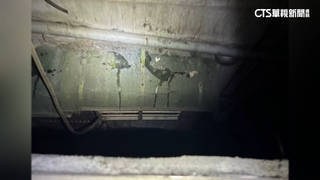 男求復合不成公寓大鬧　見警盤查從5樓跳窗逃