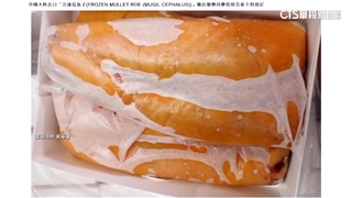 中國進口烏魚子首見「孔雀綠」　1.4萬公斤退運.銷毀