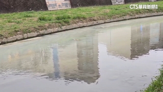 竹北又見「牛奶河」　豆子埔溪遭工地偷排廢水污染