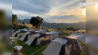 百人控代訂露營被放鴿子　團主PO文澄清：人中風