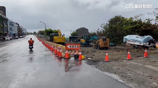 船帆石假日工程「挖斷電線」　海產店受害龍蝦死亡