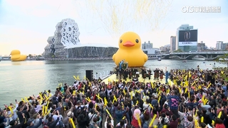 「鴨」軸秀　高雄愛河黃色小鴨謝幕　民眾擠爆愛河灣