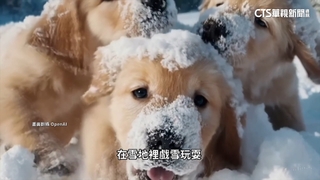 OpenAI研發Sora　「文字生成影片」超逼真