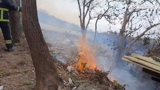 客家掃墓高峰1天70件火警　消防員「日跑4~5趟」累翻