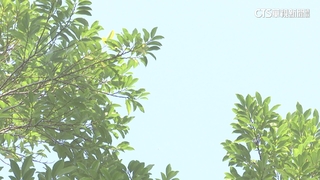 把握回暖好天氣！　南部上看30度.估明晚變天北轉雨