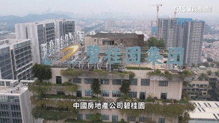 中國加強監控海外僑民　對內大力打擊「享樂主義」