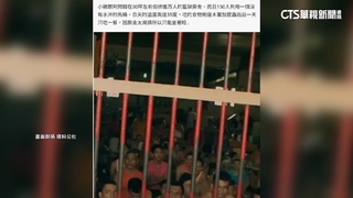 晚安小雞坐牢慘況曝？　網傳百人擠1間.吃木薯.昆蟲