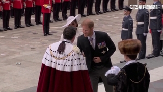 維安降級怒告英國政府　哈利王子遭判敗訴