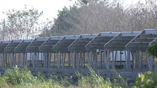 台南光電七股案　力暘「小二甲」模式送審恐違法