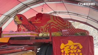 東石先天宮3.3萬斤大龜王　運輸業者花百萬迎回家