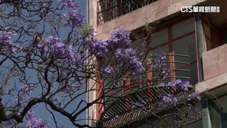 氣候變遷！　希臘洪災奪命　淹沒農田嚴重影響生計