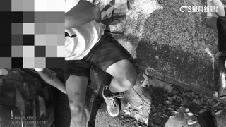 好貴！　重機改裝限量車殼遭撞　估60萬元修車費