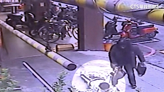 人行道凸起絆倒　周思潔右膝骨裂　中市府：將協助